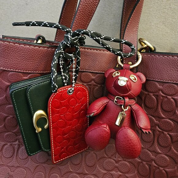 Coach Fanatic - Picture 1 of 3